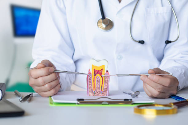 Best Emergency Dental Care for Broken or Chipped Teeth in Union City, CA